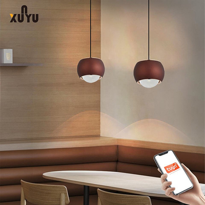 Dispositivos elétricos de luz do pendente da esfera da luz 8W 6000K do pendente do diodo emissor de luz de XUNYU