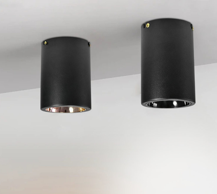 O interruptor que do botão o teto de superfície montou 2700K E27/espiga conduziu Downlight