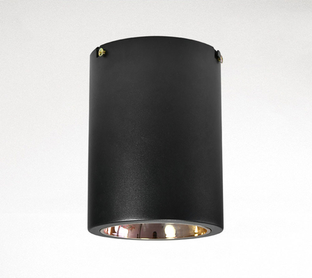 O interruptor que do botão o teto de superfície montou 2700K E27/espiga conduziu Downlight